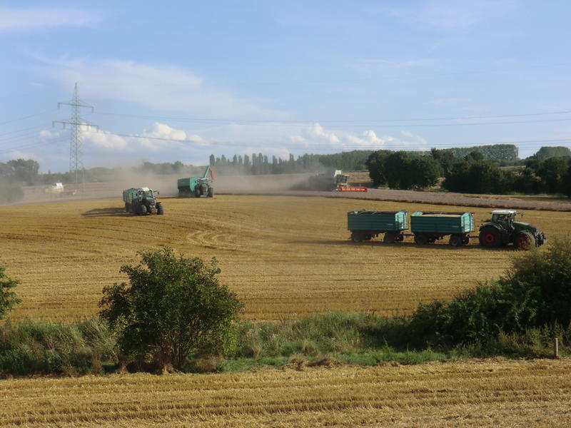 CIMG7549.jpg