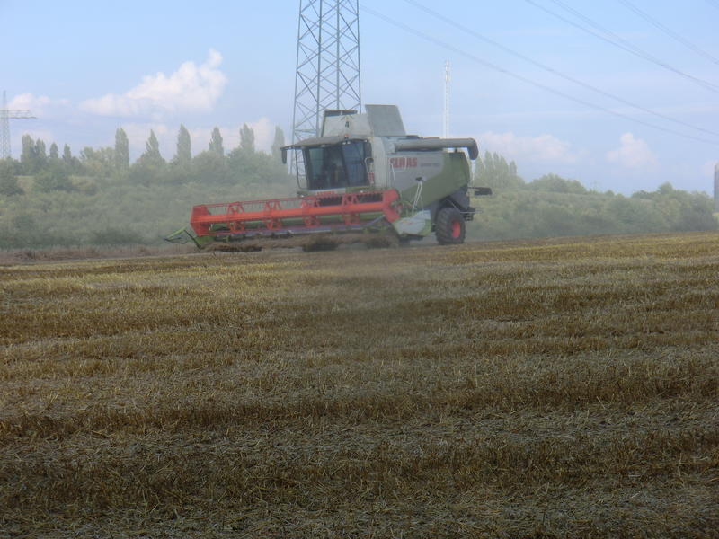bilder/10_8_2014/CIMG7570.jpg