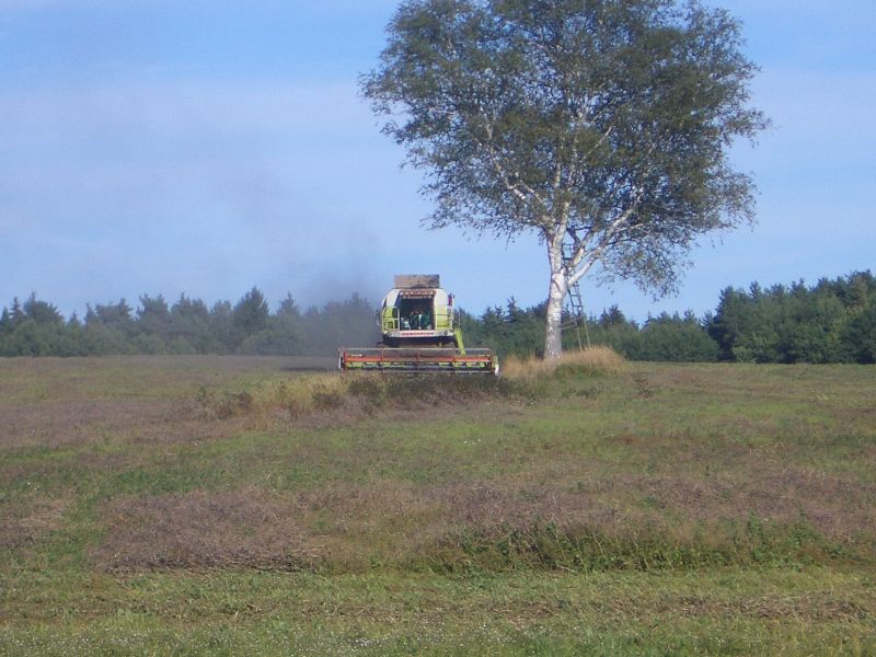 bilder/3_9_2004/lexion_mega_2.jpg