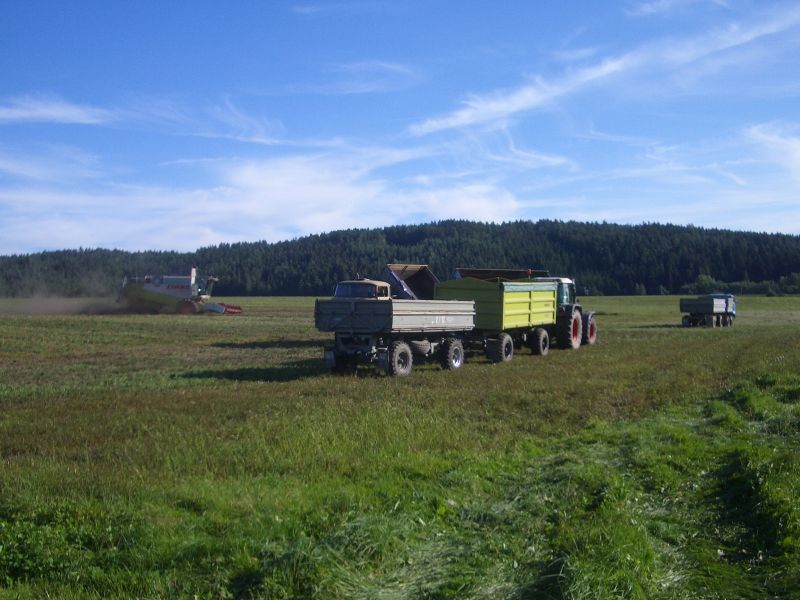 bilder/12_8_2012/CIMG0230.jpg