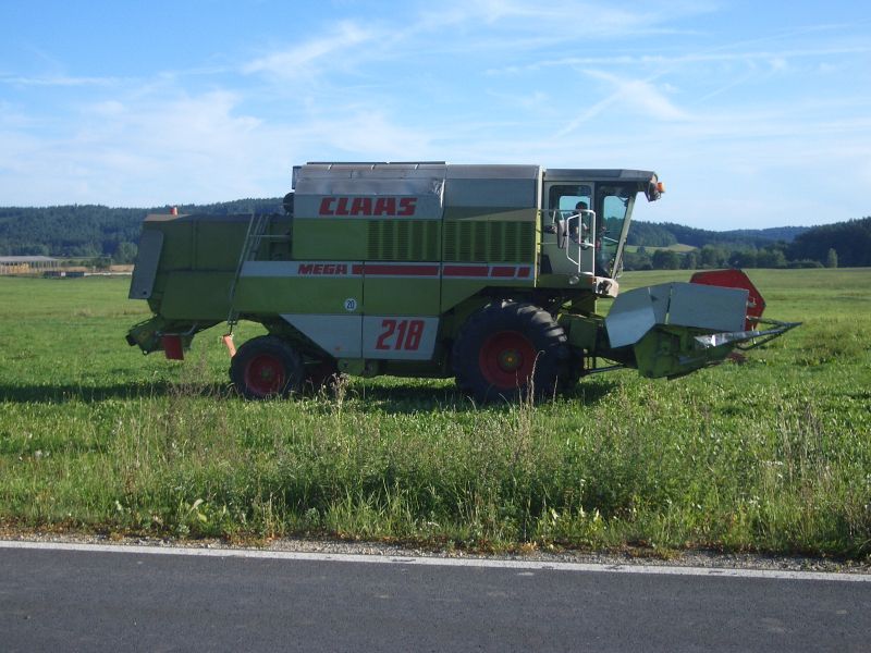 imgp5917.jpg