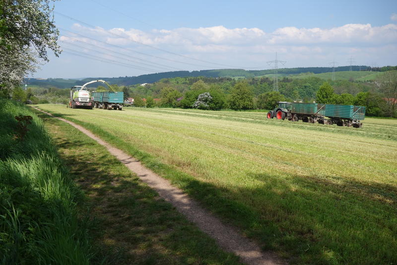 bilder/11_8_2012/CIMG0036.jpg