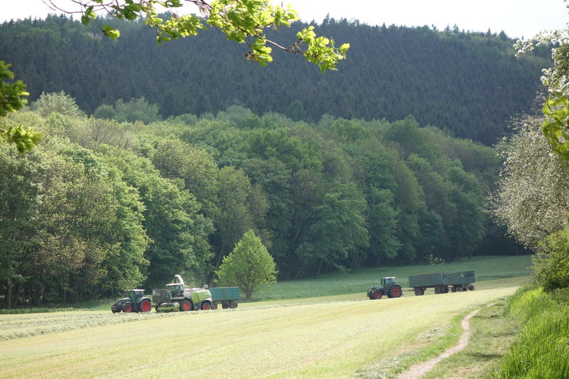 bilder/11_05_2016_2/DSC04502.jpg