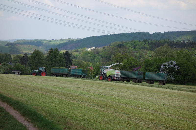 bilder/30_7_2017/DSC09209.jpg