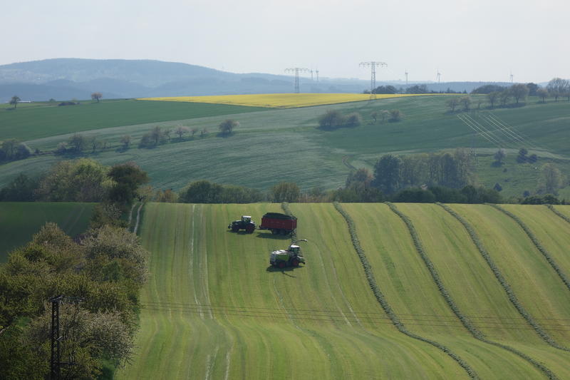 bilder/28_9_2013/CIMG9796.jpg