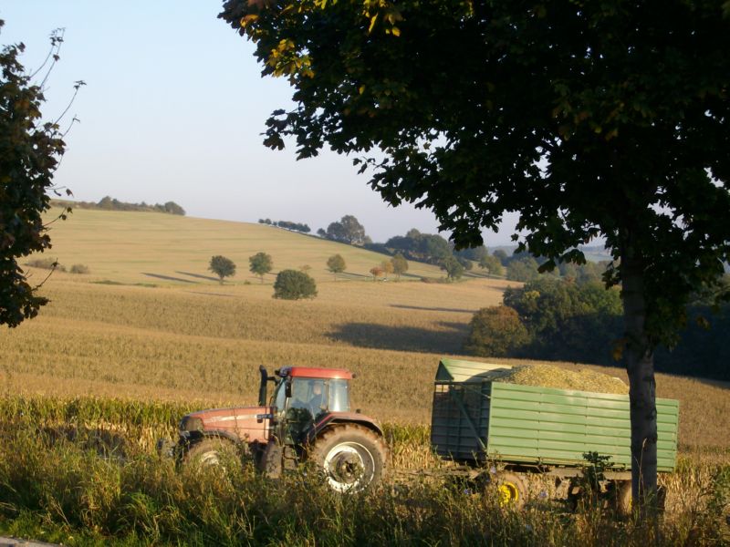 bilder/28_8_2005/2x_fendt_3.jpg
