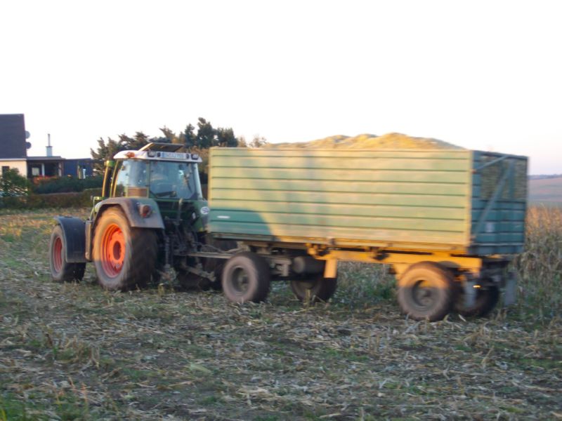 IMGP3390.jpg