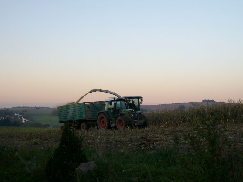 IMGP3404.jpg