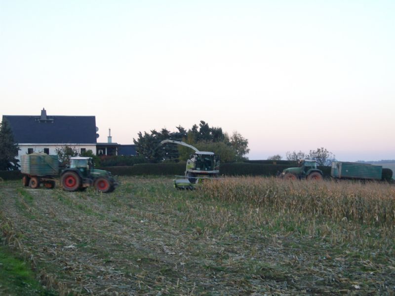 bilder/1_7_2013/CIMG7965.jpg