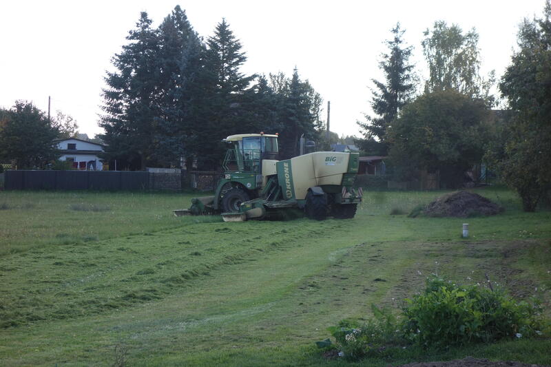 DSC03962.jpg