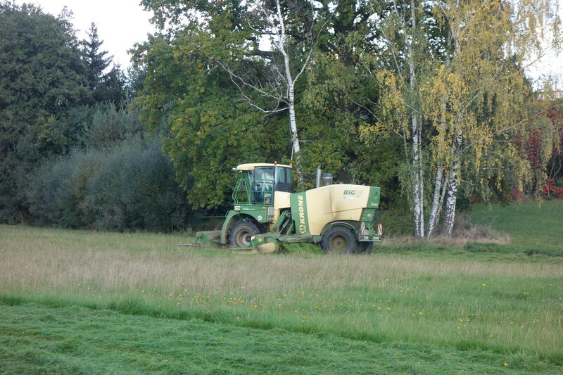 DSC03965.jpg