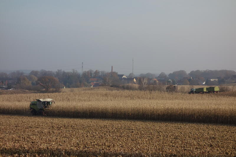 DSC02010.jpg