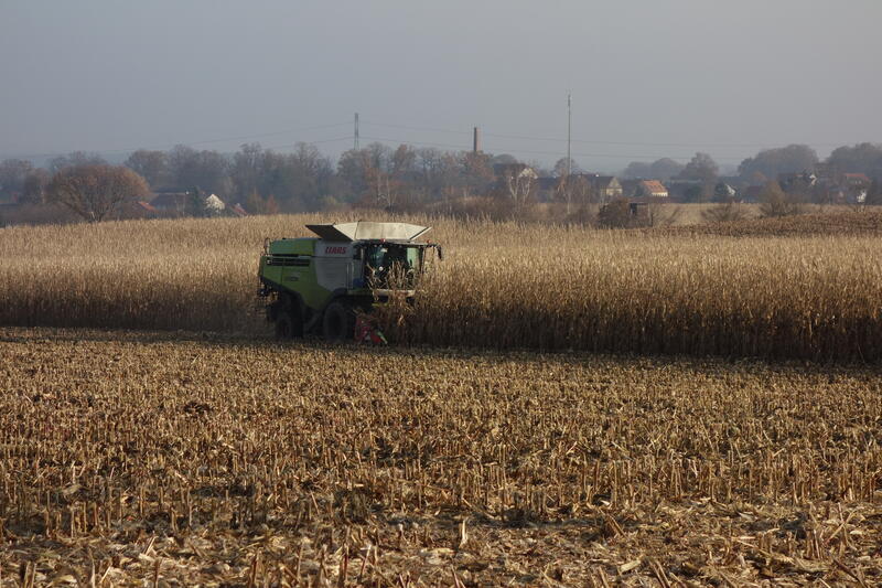 bilder/2_7_2013_4/CIMG8004.jpg