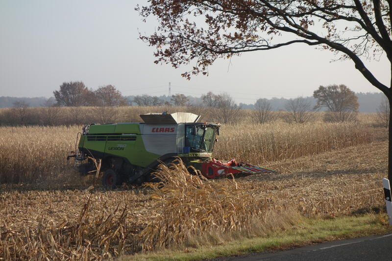 DSC02017.jpg
