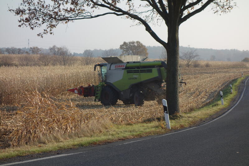 DSC02020.jpg