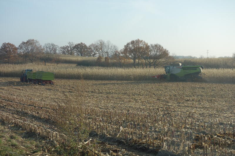 bilder/11_11_2021/DSC02031.jpg