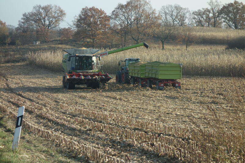 bilder/11_11_2021/DSC02035.jpg