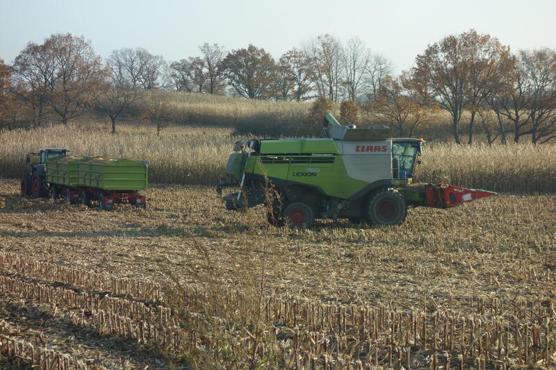 bilder/17_10_2011/CIMG5599.jpg