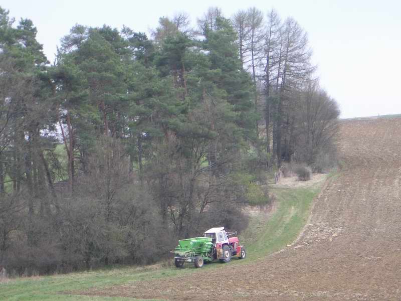 bilder/11_4_2005/zt_303_28.jpg