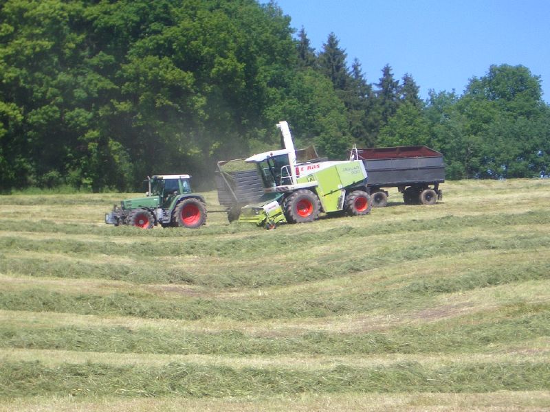 IMGP3310.jpg
