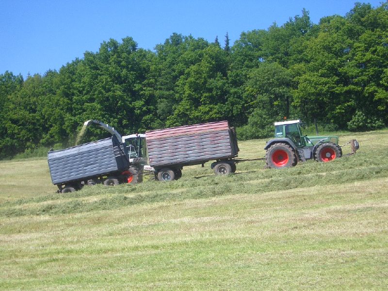 IMGP3326.jpg