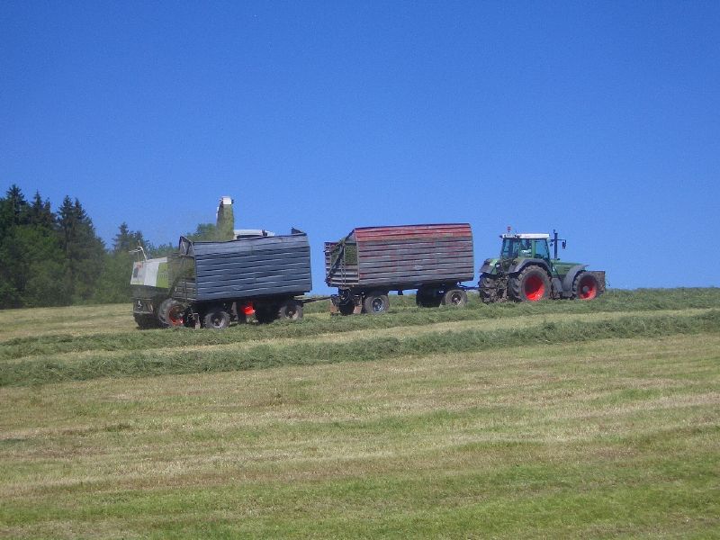 IMGP3327.jpg