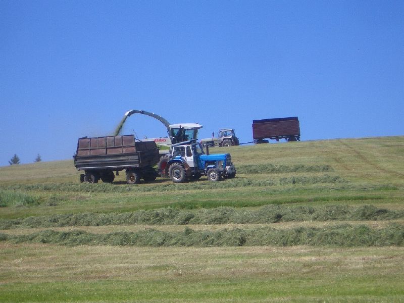bilder/11_7_2007/DSC00369.jpg