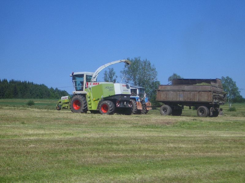 IMGP3333.jpg