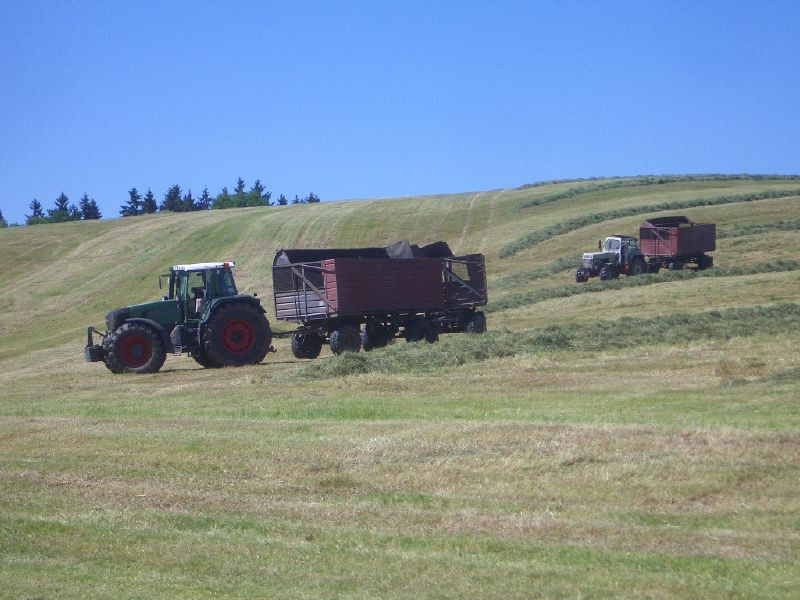 IMGP3342.jpg