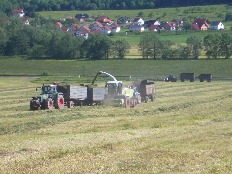 IMGP3389.jpg