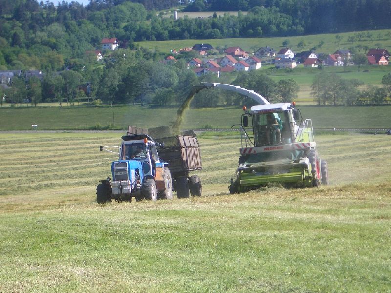 bilder/24_8_2002_1/mega_2.jpg