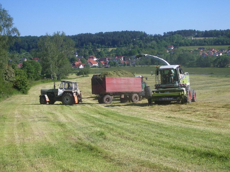 IMGP3397.jpg