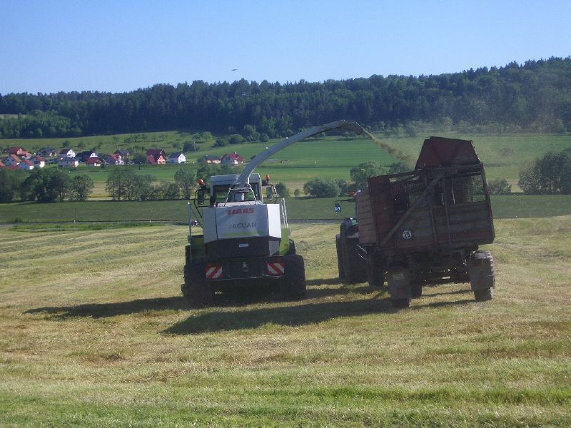 IMGP3399.jpg