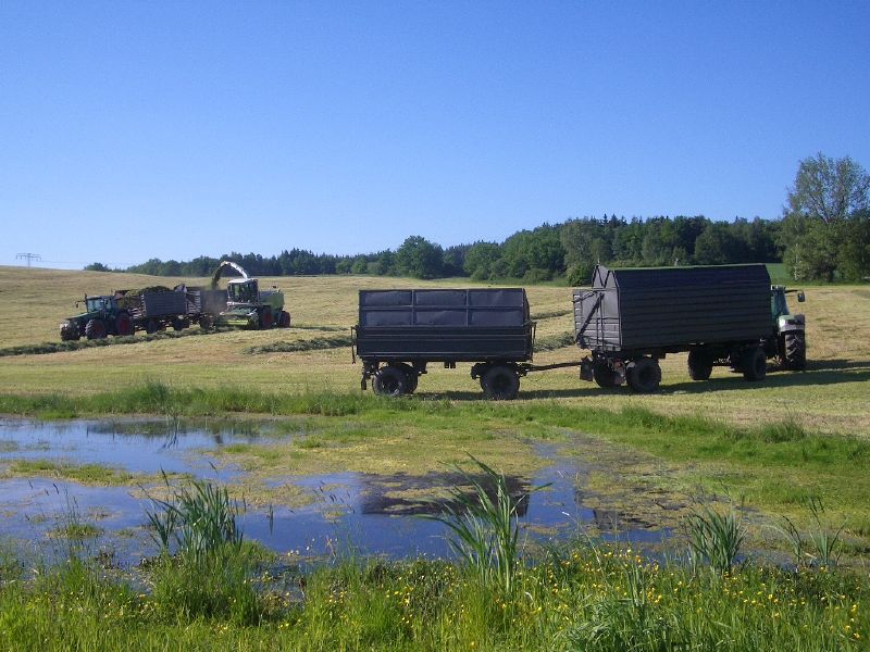 IMGP3401.jpg