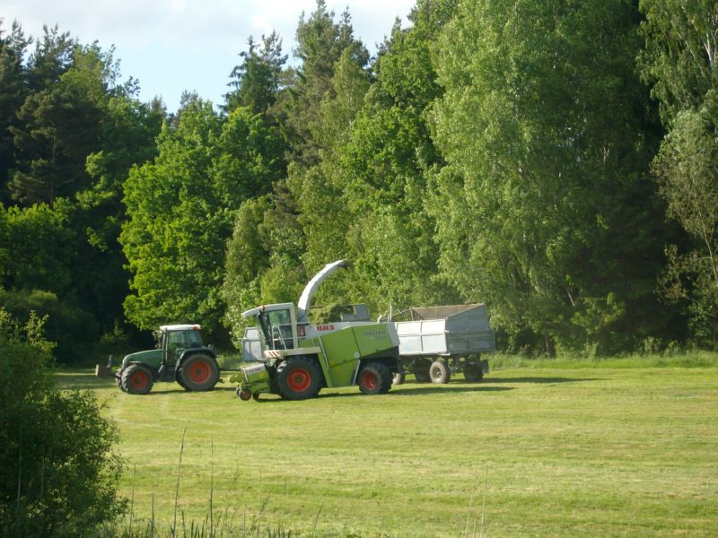 bilder/11_6_2010/IMGP1355.jpg