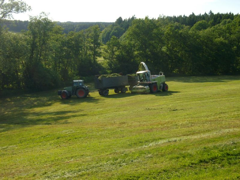 bilder/27_8_2002/fendt_824_2.jpg