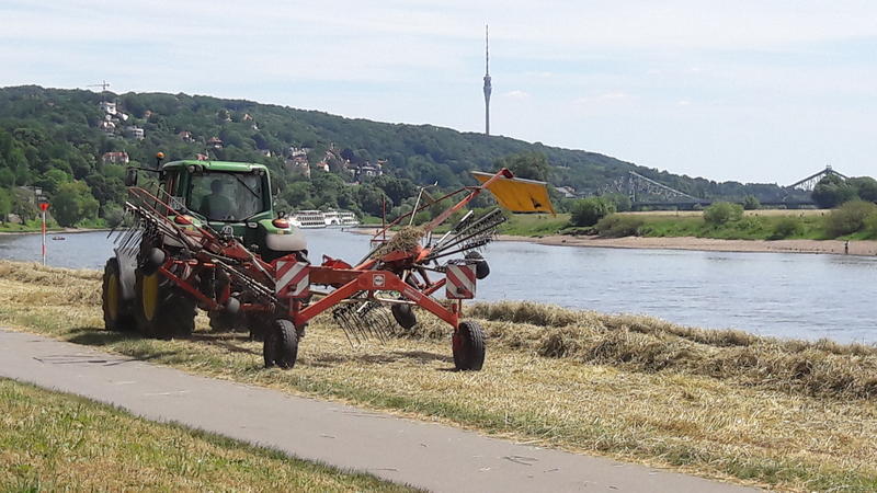 bilder/28_9_2015/DSC02770.jpg