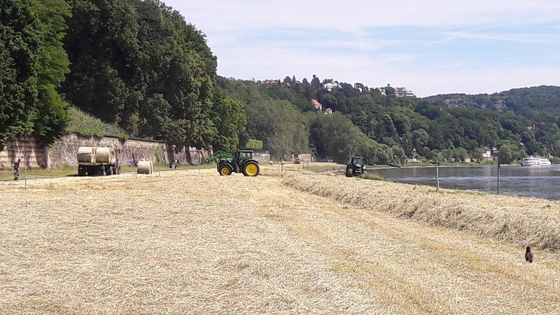 bilder/15_1_2014/CIMG1002.jpg
