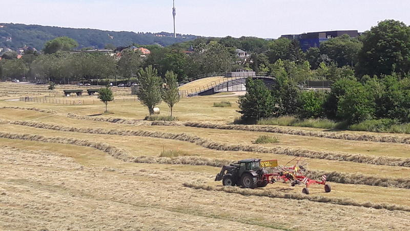 20170611_142407.jpg