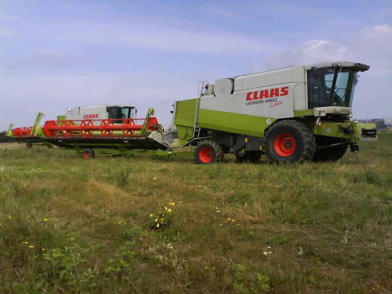 bilder/11_7_2007/DSC00378.jpg