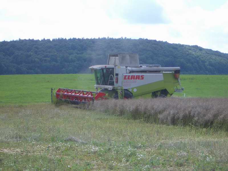 lexion_11.jpg