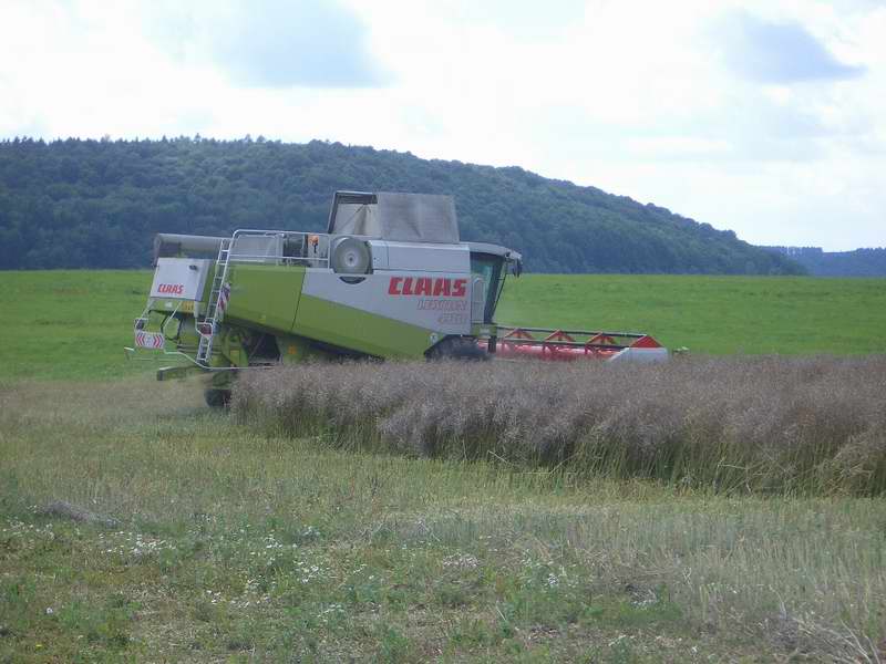 lexion_12.jpg