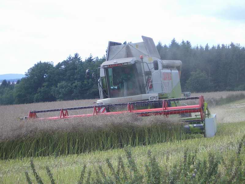 lexion_14.jpg