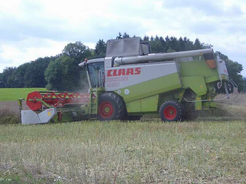 lexion_17.jpg