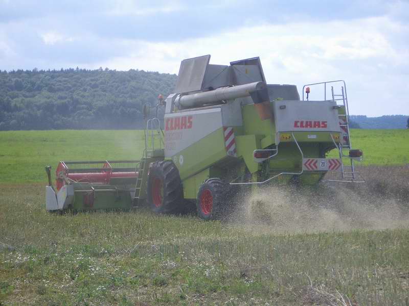 lexion_18.jpg