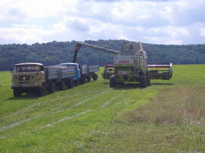 lexion_19.jpg