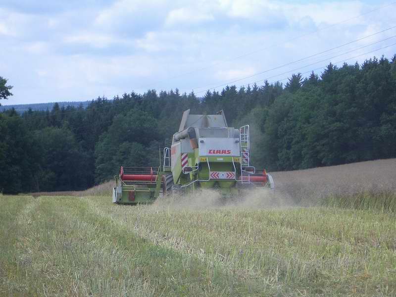 lexion_21.jpg