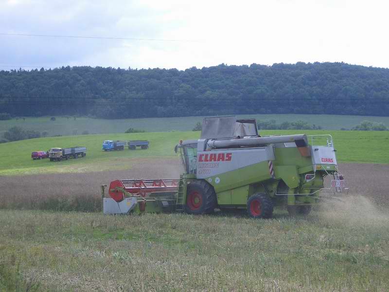 lexion_2x_w50_4.jpg