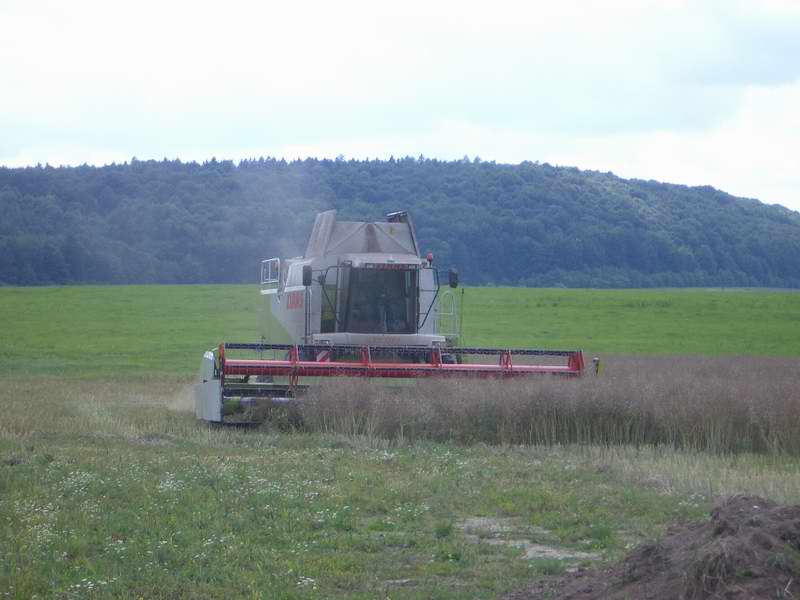 bilder/1_9_2003/jaguar_2x_fendt_2.jpg