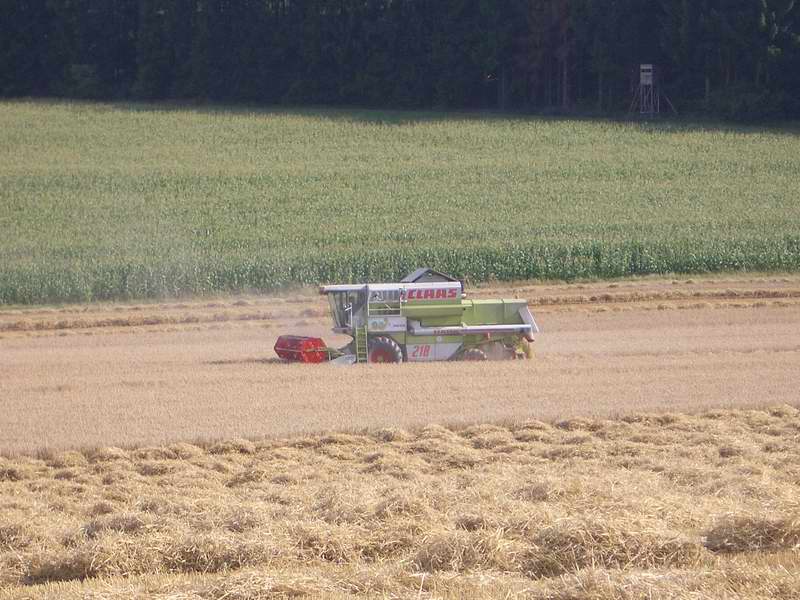 bilder/13_5_2014/CIMG2302.jpg